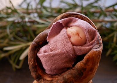 Baby in einer Baumperle