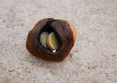 Geldbeutel mit Reißverschluss in einer Baumperle